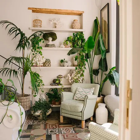 카사 부오노코레