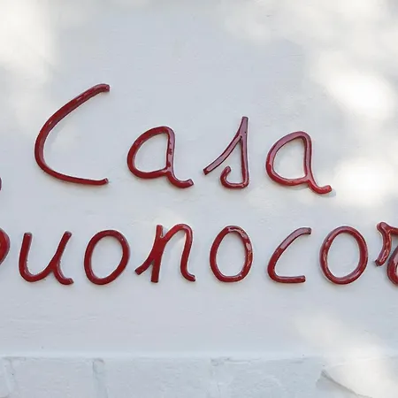 בית הארחה Casa Buonocore